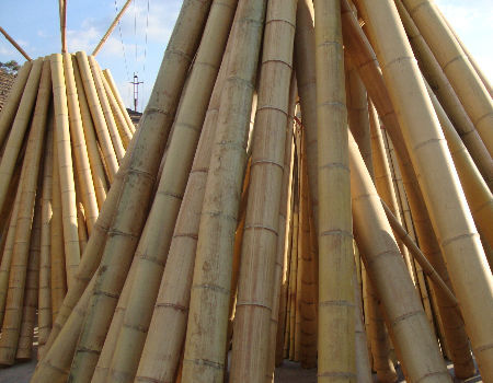Tumbuhan pot untuk tanaman dalam ruangan dan luar ruangan 2