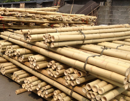 Tumbuhan pot untuk tanaman dalam ruangan dan luar ruangan 0