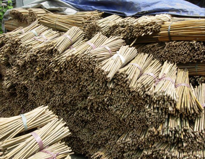 Tumbuhan pot untuk tanaman dalam ruangan dan luar ruangan 3