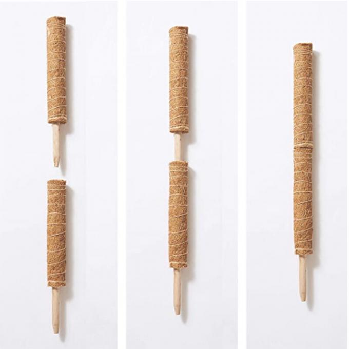 Dukungan Tanaman Tumpukan Moss tiang untuk tanaman Coir Totem Pole Tinggi Moss tiang untuk tumbuh-tumbuhan memanjat Sphagnum 0