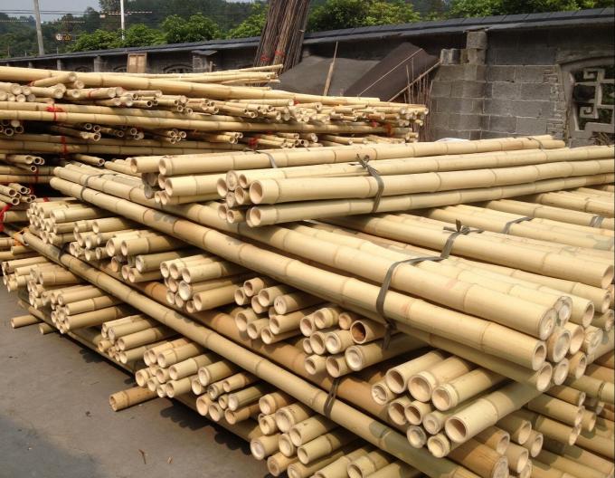 Tiang Bambu Kuat – Sempurna untuk Proyek DIY, Penyangga, dan Dekorasi 0