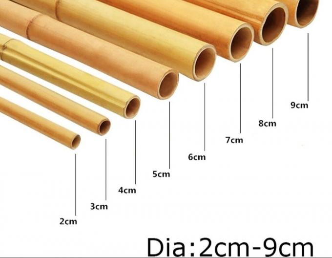 Tiang Bambu Kuat – Sempurna untuk Proyek DIY, Penyangga, dan Dekorasi 1