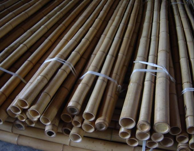 Tiang Bambu Kuat – Sempurna untuk Proyek DIY, Penyangga, dan Dekorasi 3