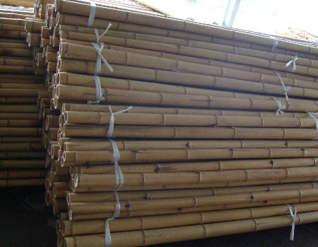 Tiang Bambu Kuat – Sempurna untuk Proyek DIY, Penyangga, dan Dekorasi 2