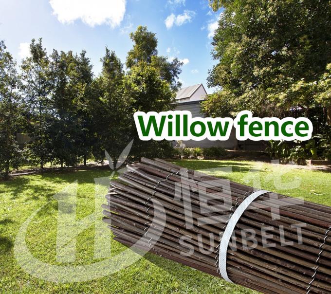Ranting Willow Alami untuk Latar Belakang Sempurna dan Solusi Privasi 0