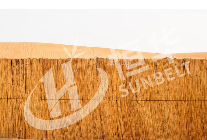 Pagar Bambu: Cara Ramah Lingkungan dan Serbaguna untuk Menambah Privasi dan Teduh 4