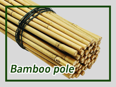 Bamboo Pole Bamboo Plant Stakes Untuk Outdoor dan Indoor Bamboo Stick