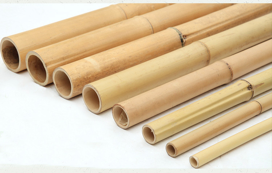 100% Baku Alami 240cm Tiang Bambu Deorasi Bangunan 60cm Hingga 595cm