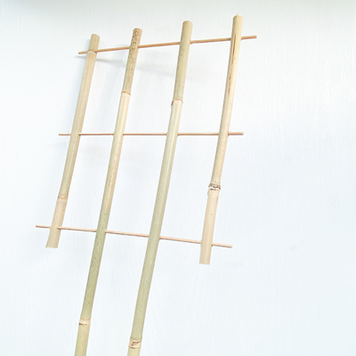 100% Bahan Baku Taruhan Bambu 6m Bentuk U Hoops Teralis Dukungan Bunga Buatan Tangan