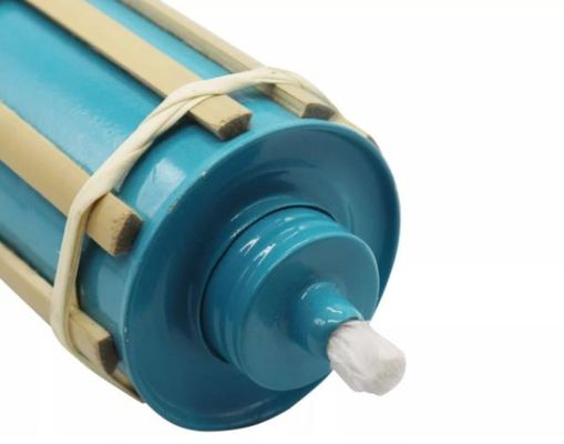 Pohon Bamboo Torch, Cahaya Api Bamboo Alam yang Ramah Lingkungan