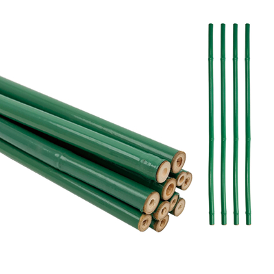 Custom Green PVC Coated Bamboo Treated Flower Support Tongkin Bamboo Plastic Tube Pole