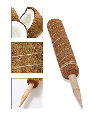 44cm Coir Moss Totem Pole Kit Untuk Tanaman Panjat Dan Tanaman Pendukung Tiang Kelapa