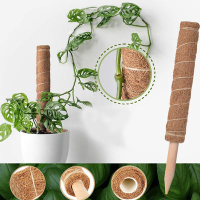 44cm Coir Moss Totem Pole Kit Untuk Tanaman Panjat Dan Tanaman Pendukung Tiang Kelapa
