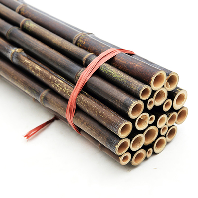 Dekorasi Tanaman Taman Tiang Bambu Mentah Tiang Bambu Tonkin Alami
