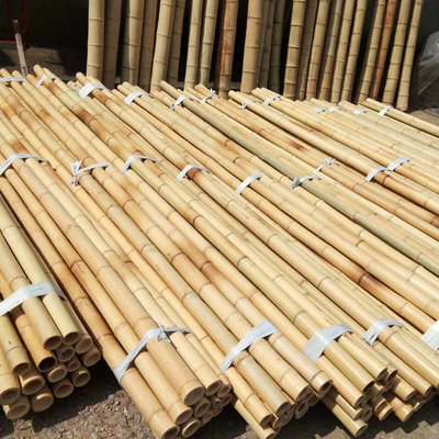 Tongkat Bambu Taman Alami Untuk Tomat Luar Ruangan Tanaman Pot Mendukung Taruhan