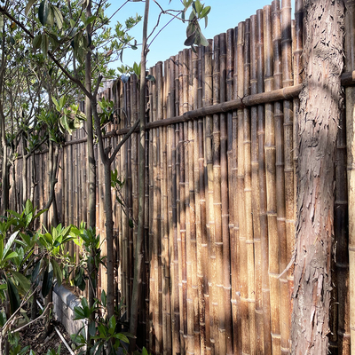 150cm Pagar Bambu Dekoratif Berwarna Alami Untuk Perbatasan Halaman Belakang Taman