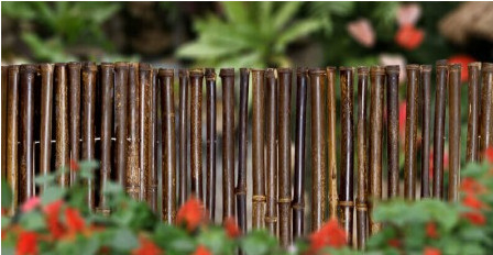 180cm 240cm Rolled Bambu Pagar Untuk Pembibitan Perbatasan Taman