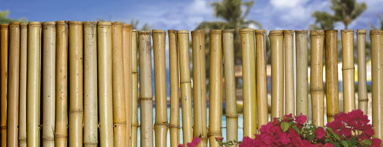 180cm 240cm Rolled Bambu Pagar Untuk Pembibitan Perbatasan Taman