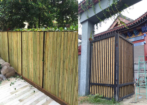Rumah Gulungan Layar Bambu Pagar Taman Halaman Belakang Panel Bambu Dekoratif