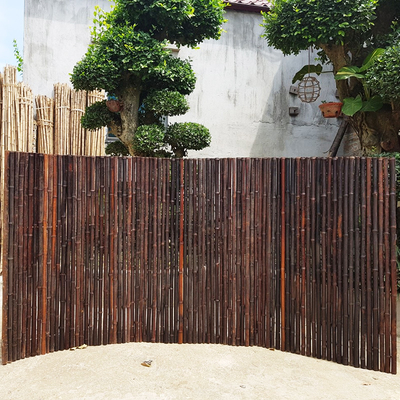 180cm 240cm Rolled Bambu Pagar Untuk Pembibitan Perbatasan Taman