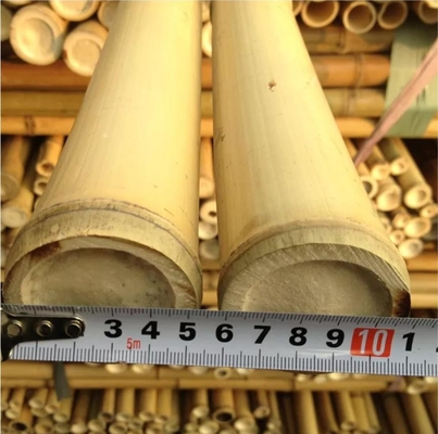 Ramah Lingkungan 3 Inch Moso Bambu Tiang Bambu Untuk Dekorasi Tanaman Kuning
