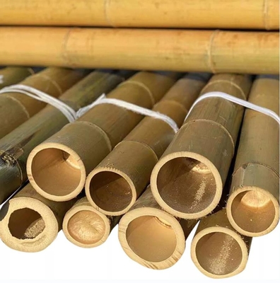 Ukuran khusus Moso alami murni tiang bambu kering Moso padat tiang bambu untuk konstruksi atau dekorasi