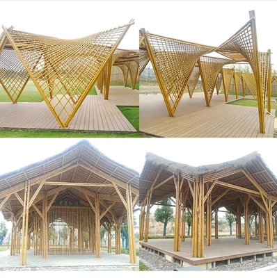 Tiang Bambu Moso Mentah Alami Diameter 2cm 3cm 4cm 5cm 6cm 8cm 10cm