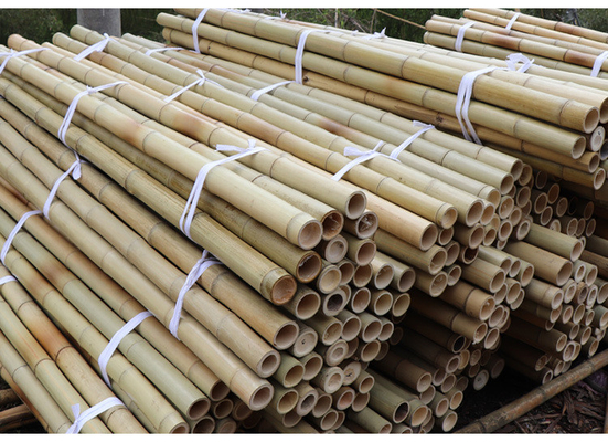 Garden Furniture Tiang Bambu Alami Pasak Lurus Untuk Tanaman Taman Panjang 16cm