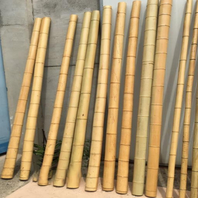 Garden Furniture Tiang Bambu Alami Pasak Lurus Untuk Tanaman Taman Panjang 16cm