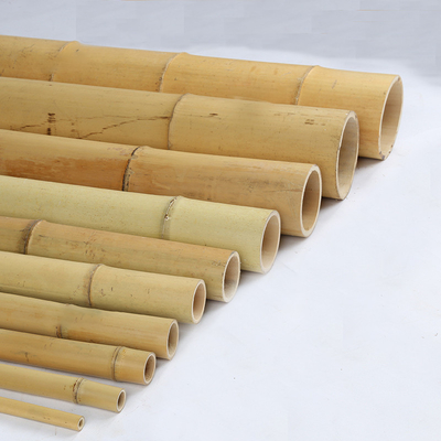 18mm Sampai 160mm Diameter Tiang Bambu Moso Konstruksi Taman Lapangan Pertanian Tebu Bambu