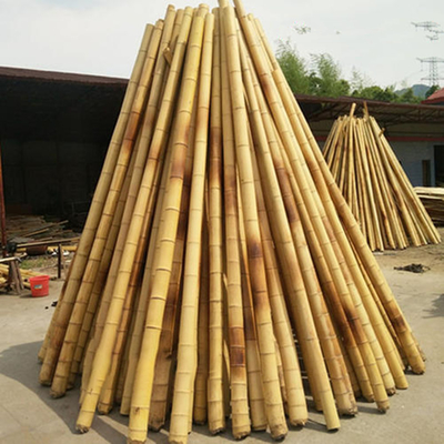 Konstruksi Bahan Baku Bambu