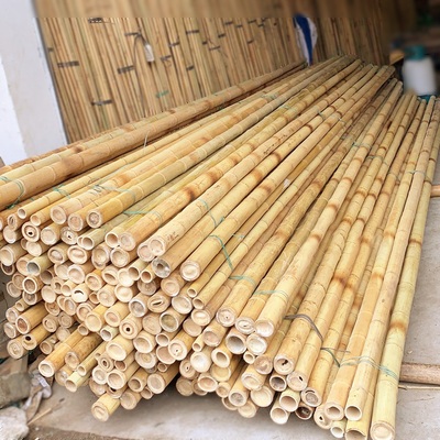 Tiang Bambu Moso 3 Inch Taruhan Bambu Alami Murni Untuk Dekorasi Tanaman Kuning