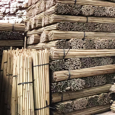 Tongkat Bambu Taman Alami Untuk Tomat Luar Ruangan Tanaman Pot Mendukung Taruhan