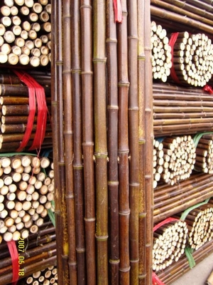 Tiang Bambu Mentah 120cm