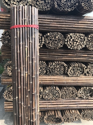 Tiang Bambu Mentah 120cm