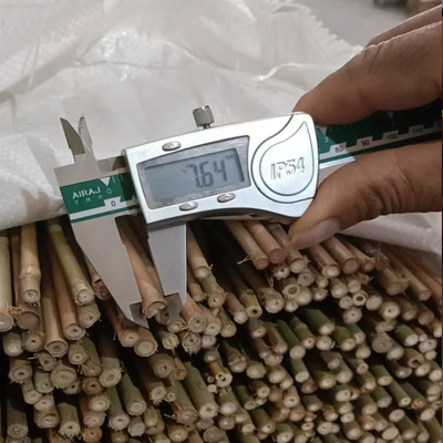 100% Tiang Bambu Mentah Tiang Bambu Menempel Diameter 0,004m Hingga 0,014m