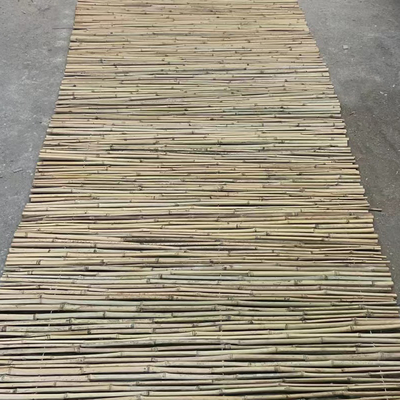 Pagar Taman Dekorasi Rumah Tiang Bambu Mentah Tonkin Tiang Bambu Padat