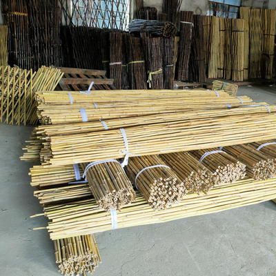Tongkat Bambu Mentah Berwarna-warni Tiang Bambu Untuk Pertanian Taman