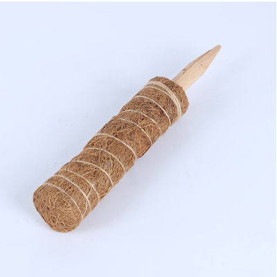 Tiang Lumut untuk Tanaman Merambat 30cm 40cm 60cm 90cm Tongkat Penopang Totem Sabut Kelapa Alami