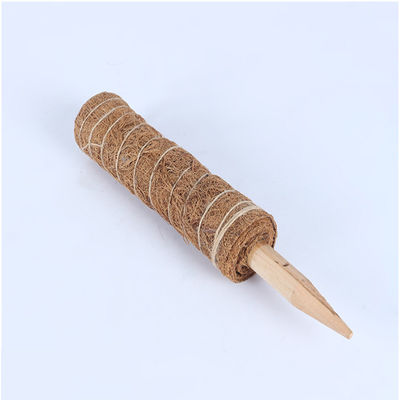 Tiang Lumut untuk Tanaman Merambat 30cm 40cm 60cm 90cm Tongkat Penopang Totem Sabut Kelapa Alami