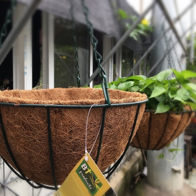Dekorasi Taman Keranjang Penanam Gantung Logam Dengan Coco Coir Coco Liner