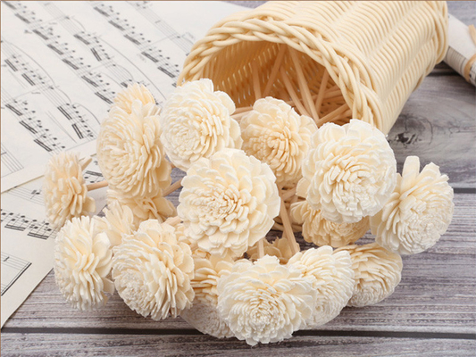 Beraroma Kayu Kering Bunga Sola Reed Diffuser 15cm Dengan Kapas Untuk Dekoratif