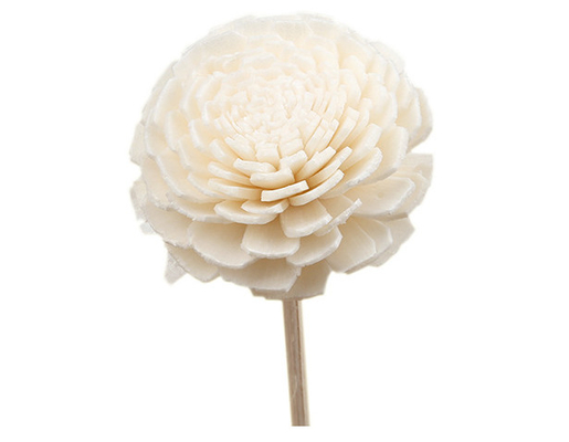 Beraroma Kayu Kering Bunga Sola Reed Diffuser 15cm Dengan Kapas Untuk Dekoratif