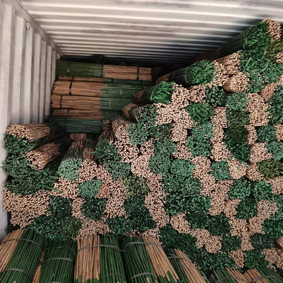 Tiang Bambu Dicat Ukuran Disesuaikan