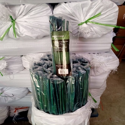 20cm Painted Raw Bamboo Poles Stakes Rods Dekorasi Hijau