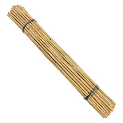 Bahan Baku Bambu Alami yang Disesuaikan Taruhan Bambu 40cm 60cm 90cm Panjang 6mm Diameter