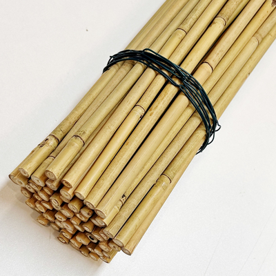 Bahan Baku Bambu Alami yang Disesuaikan Taruhan Bambu 40cm 60cm 90cm Panjang 6mm Diameter