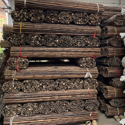 4cm Sampai 20cm Tonkin Tiang Bambu Mentah Berkarbonisasi Hitam Hijau Merah Disesuaikan