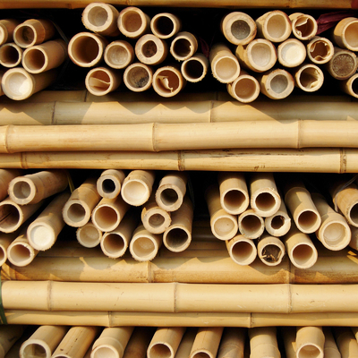 Tongkin Bamboo Cane for Plants Grow Support Custom Size Bamboo Stick