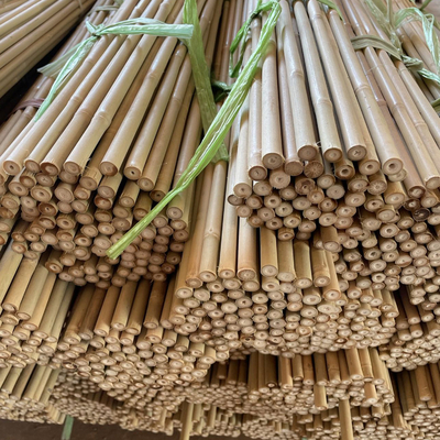 Pagar Taman Dekorasi Rumah Tiang Bambu Mentah Tonkin Tiang Bambu Padat